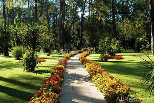 Club Med Kemer Palmiye 2